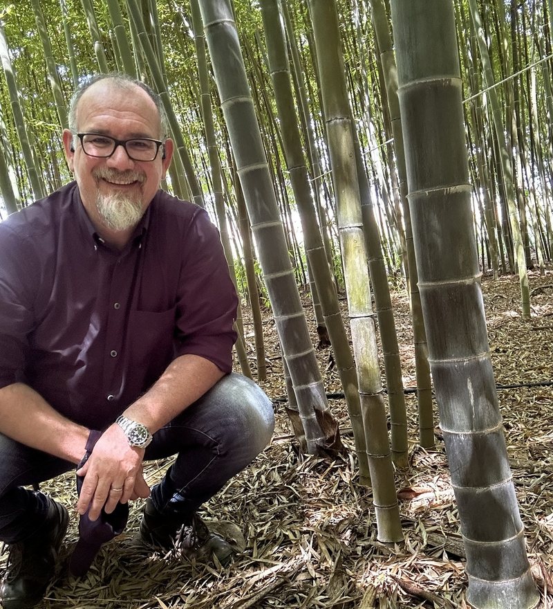 Mauro Lajo in una foresta di bambù gigante
